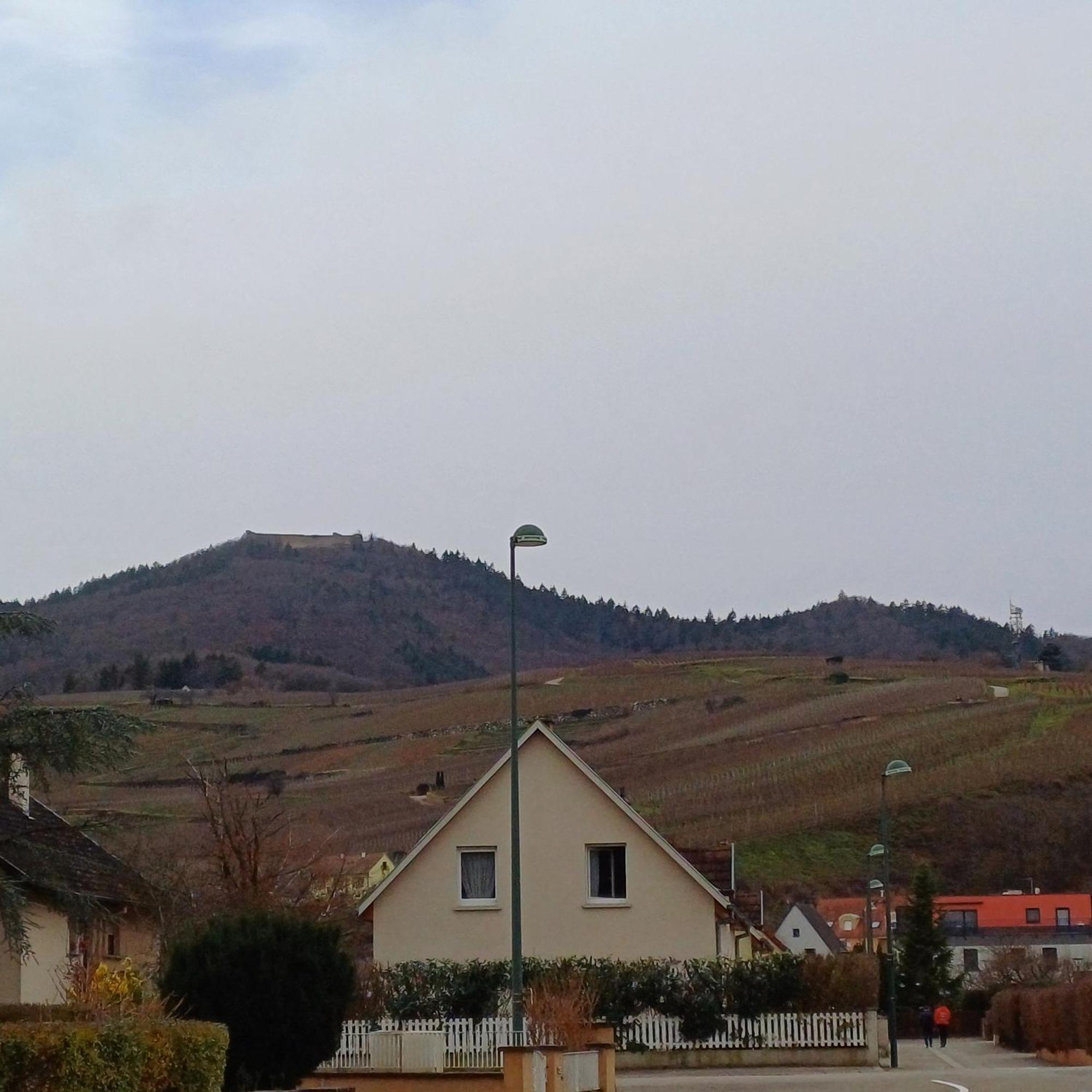 Les Vignobles D'Alsace Hotel Wintzenheim Luaran gambar