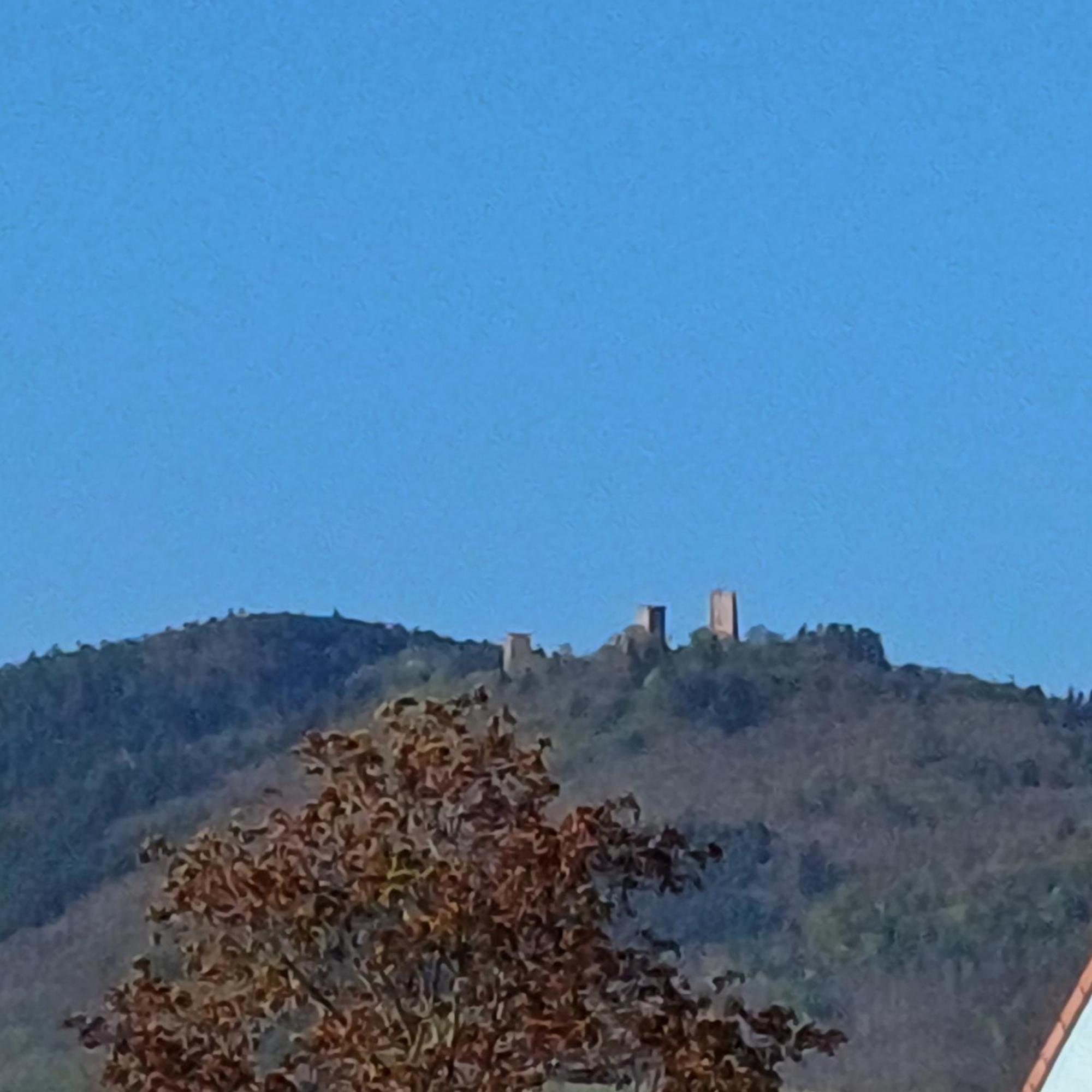 Les Vignobles D'Alsace Hotel Wintzenheim Luaran gambar