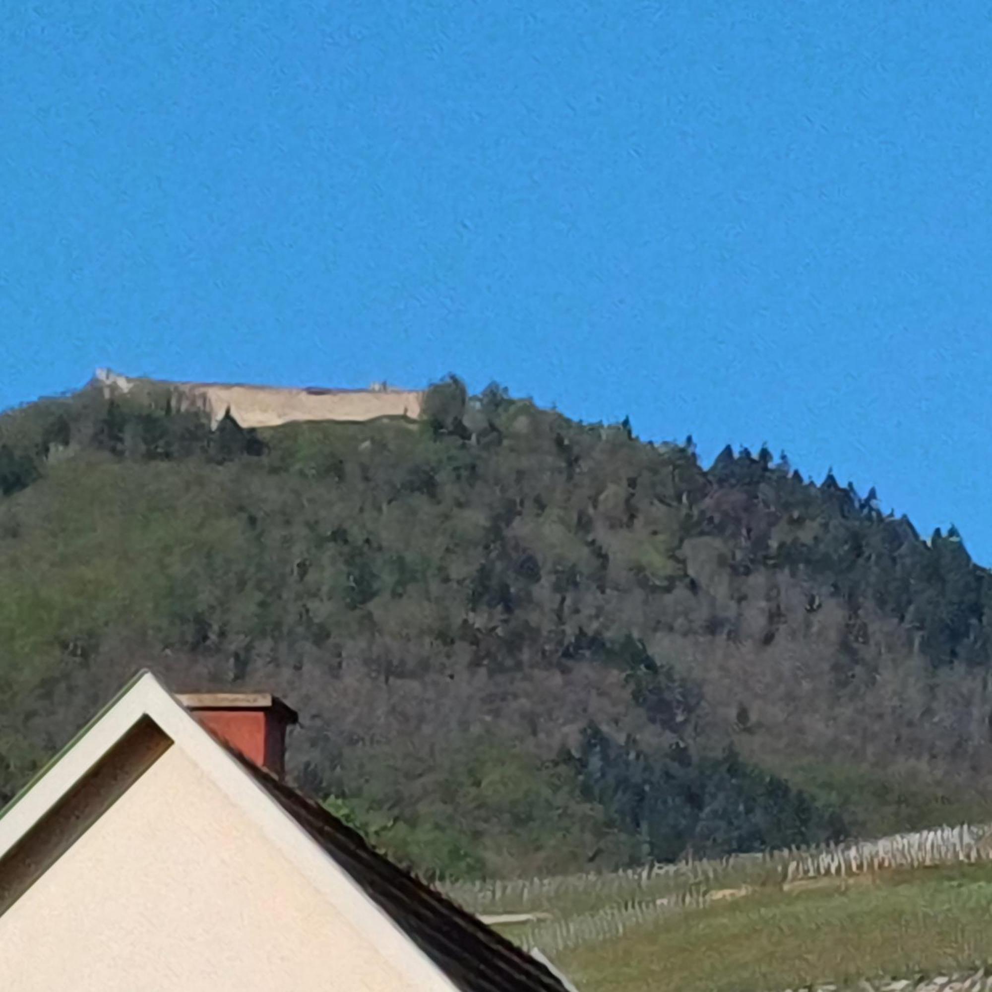 Les Vignobles D'Alsace Hotel Wintzenheim Luaran gambar